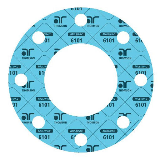 Full Face Gasket Multipac 6101